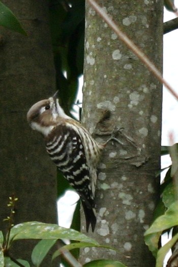 c0134734_2111774.jpg
