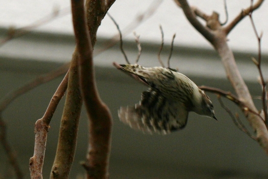 c0134734_214952.jpg