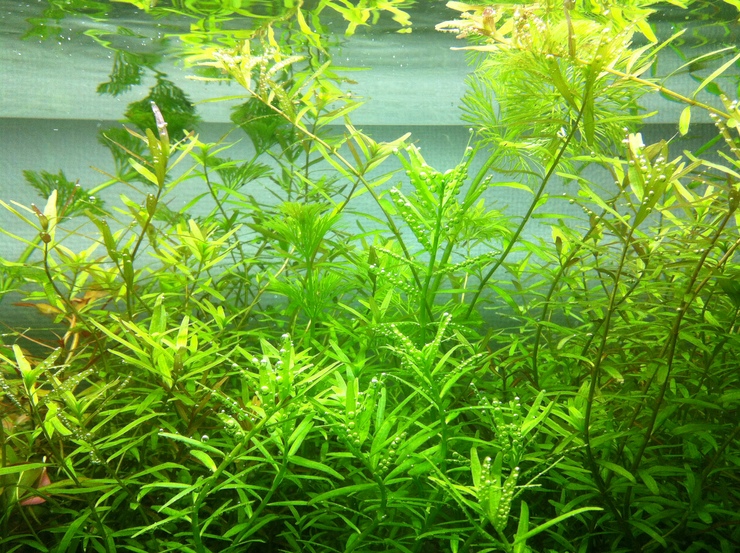 c0250835_14285470.jpg