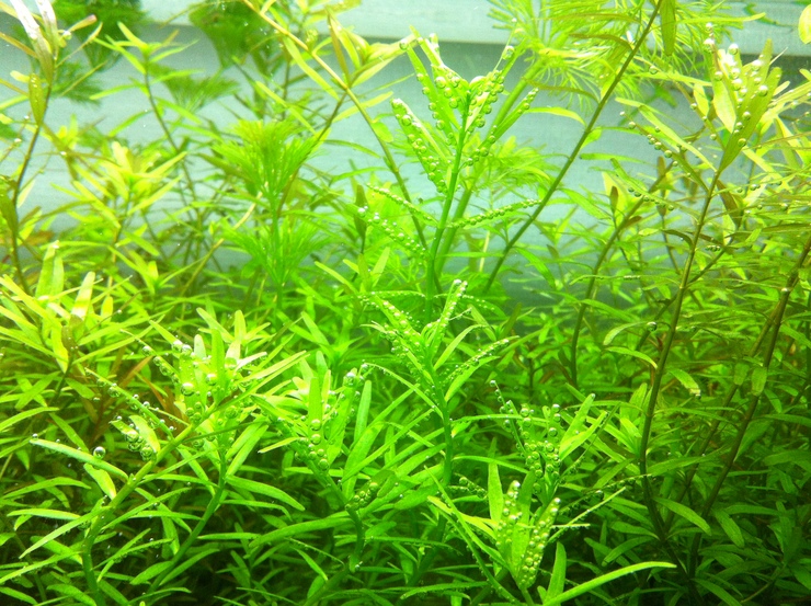 c0250835_14292915.jpg