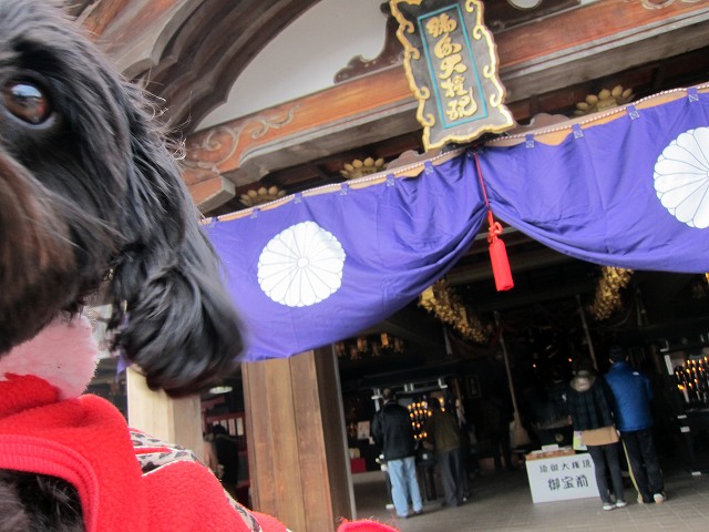 a0242438_17404812.jpg