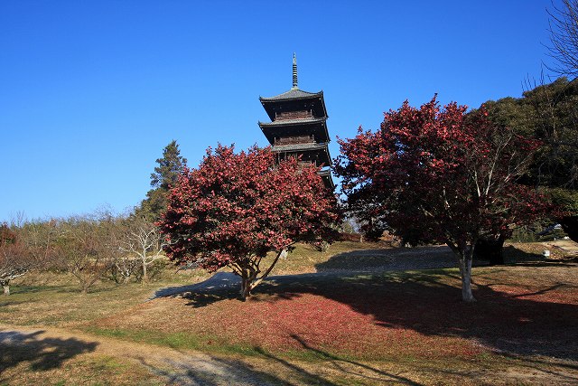 a0242438_1741940.jpg
