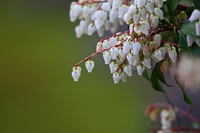 a0242438_18494176.jpg