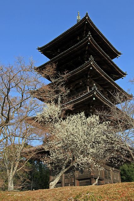 a0242438_18502796.jpg