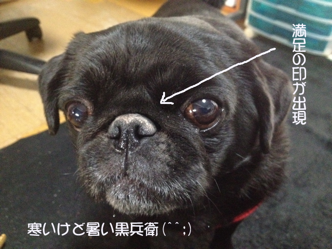 a0051443_1516164.jpg