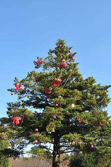 f0094843_22245394.jpg