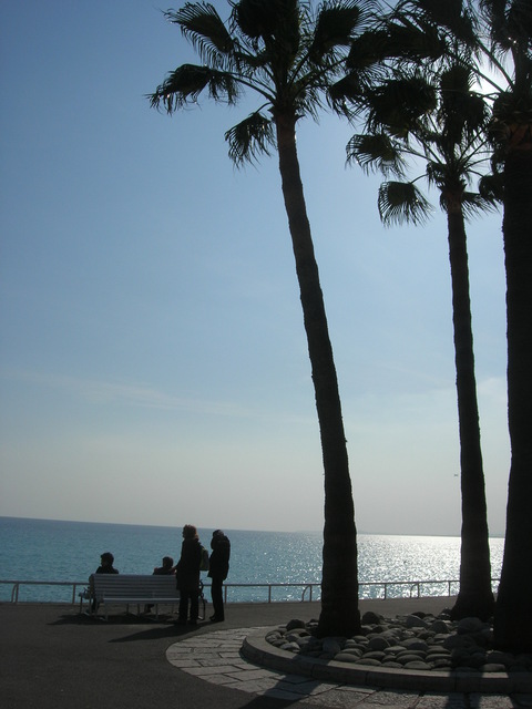 d0284049_920189.jpg