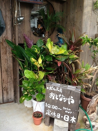 f0009451_14442114.jpg