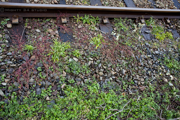 f0006253_82587.jpg