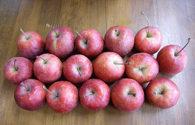 a0001354_229137.gif
