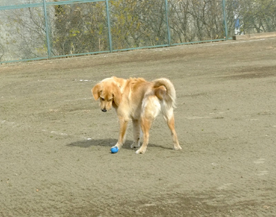 c0097558_22145382.jpg
