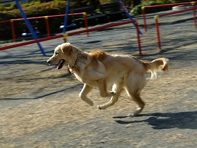 c0097558_22374883.jpg