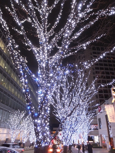 e0176158_21414773.jpg