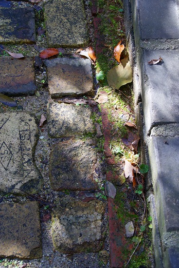 d0083761_2026209.jpg