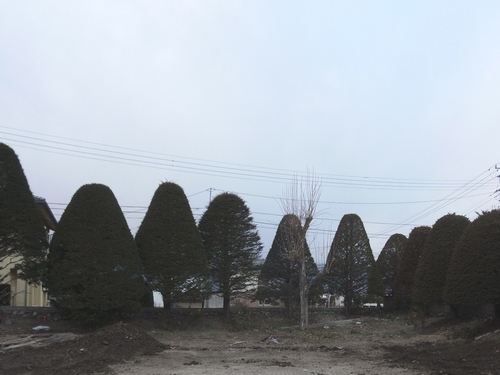 c0166668_033114.jpg