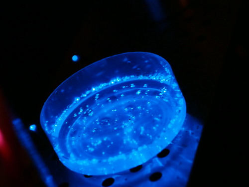 c0122670_17405940.jpg