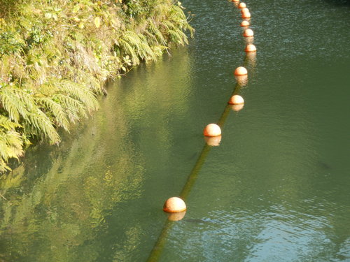e0292172_19465833.jpg