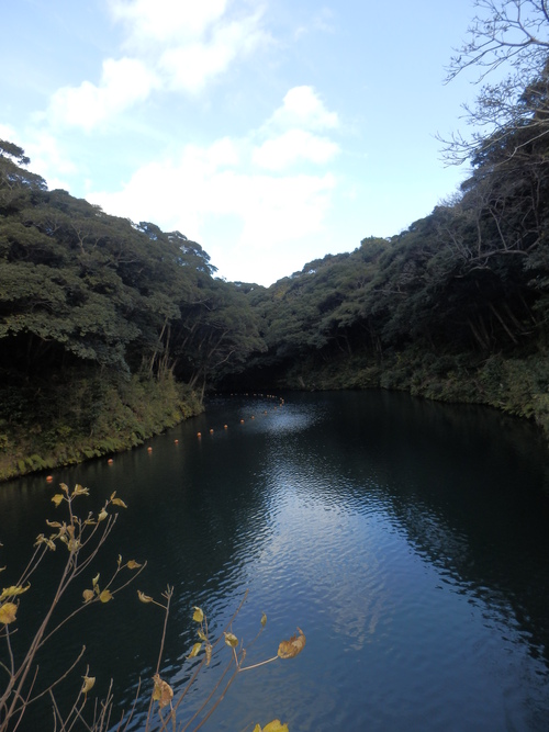 e0292172_20313819.jpg