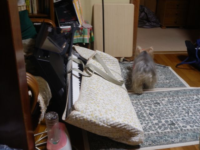 f0130894_17271322.jpg