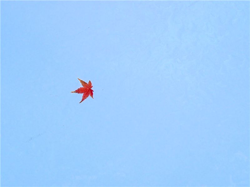 f0224100_10194346.jpg