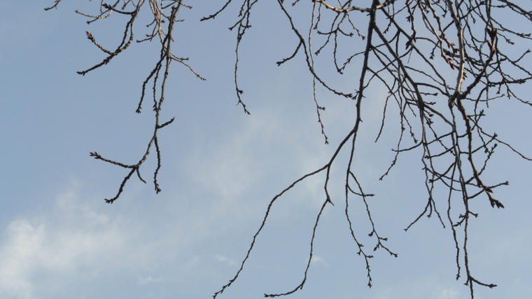 d0248502_2058579.jpg