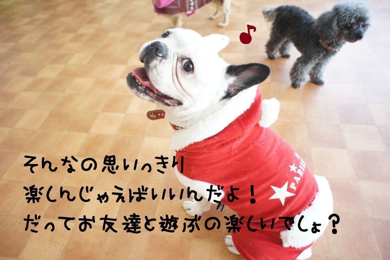 d0220513_21304480.jpg