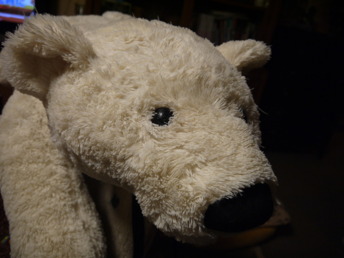 b0285820_15141327.jpg