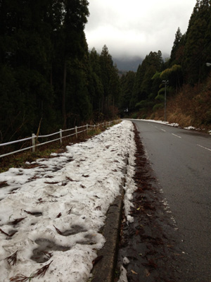 c0227720_22553594.jpg