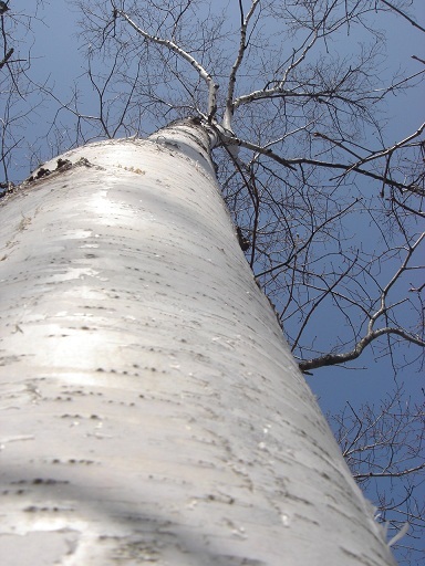 f0000521_15115456.jpg