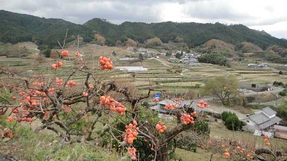 f0000521_6341320.jpg