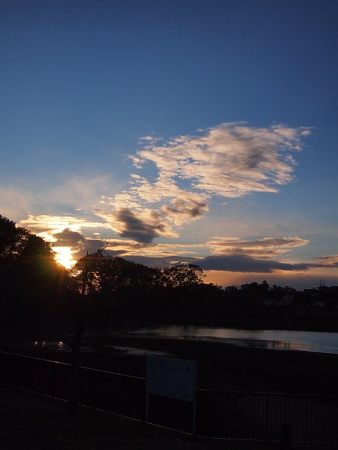 b0134829_0583329.jpg