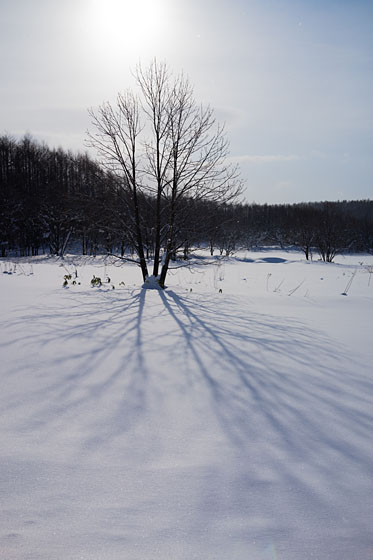 e0025030_17373273.jpg