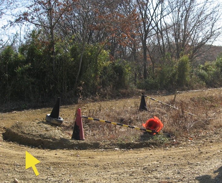 f0118335_21292681.jpg