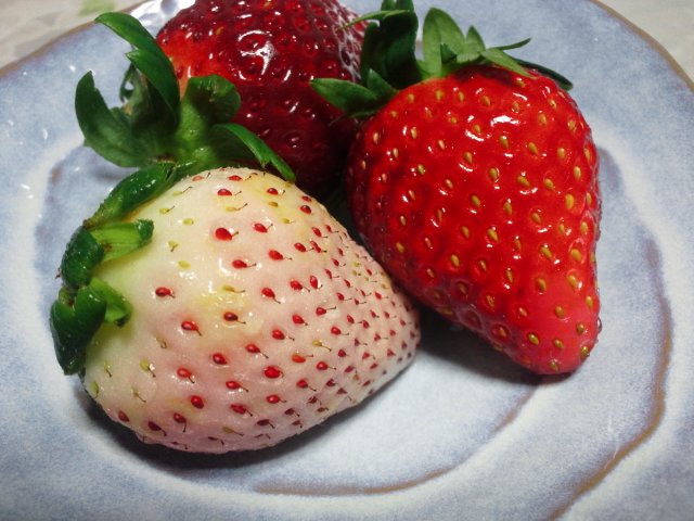 e0171737_22502787.jpg