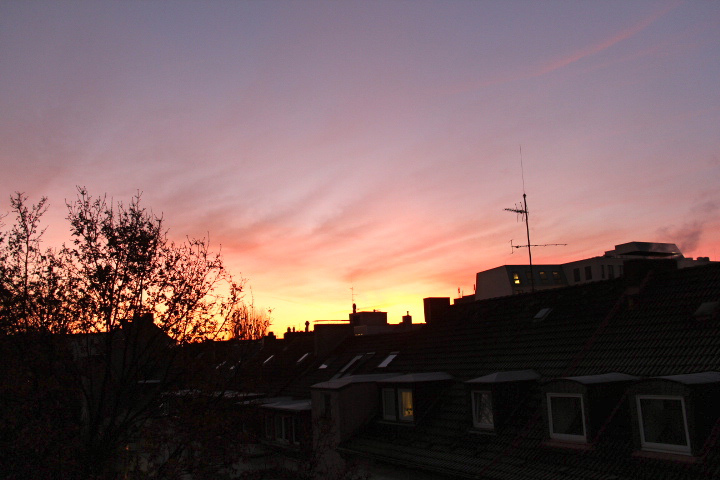 c0153740_4185890.jpg