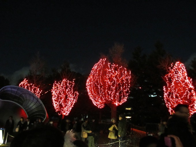 a0051443_12134327.jpg