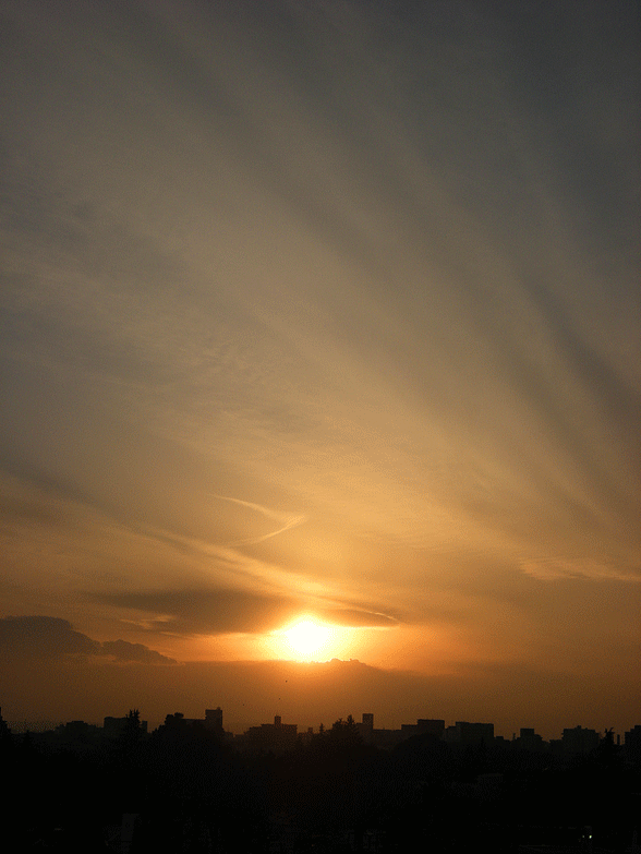 a0001354_226286.gif