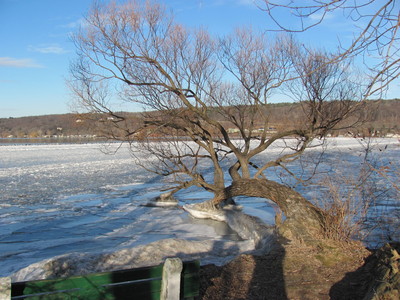 a0190056_4325395.jpg