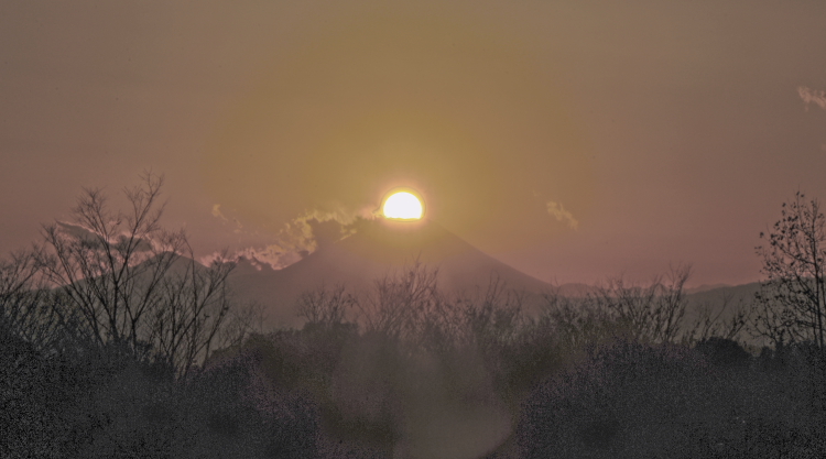 a0150260_015118.jpg
