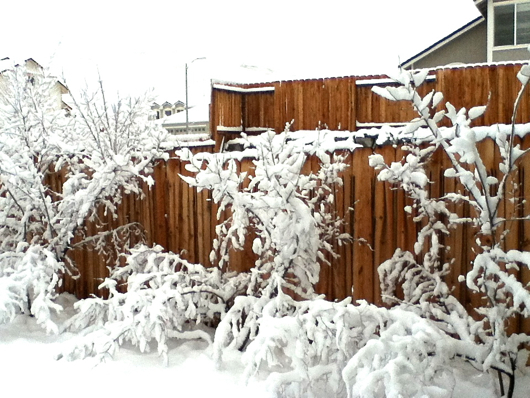 f0238562_1016383.jpg