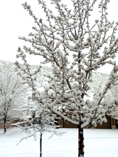 f0238562_6591528.jpg