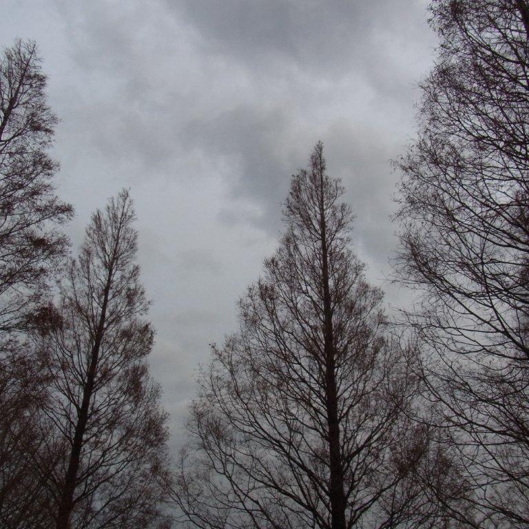 a0123465_0124127.jpg