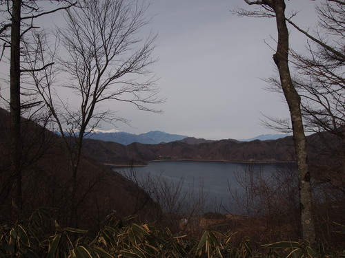 c0144868_3144917.jpg