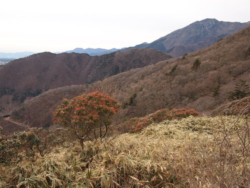 c0144868_3153433.jpg