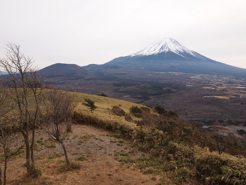 c0144868_3161931.jpg