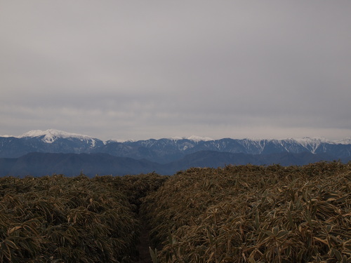 c0144868_3174792.jpg