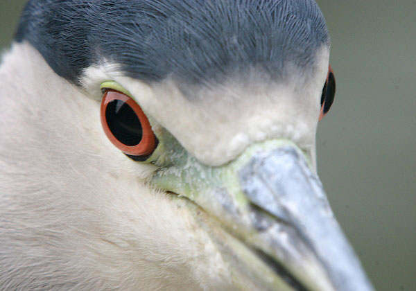 e0000968_1125498.jpg