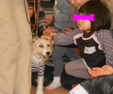 f0045872_0592087.gif