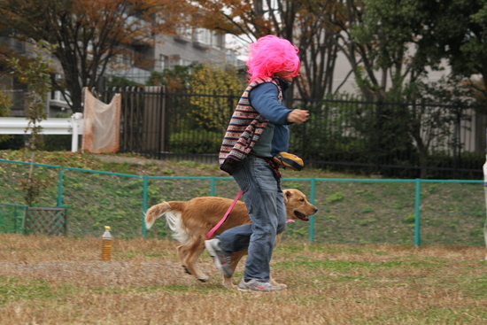 f0230380_1182578.jpg