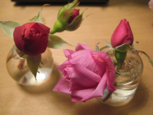 b0288481_18365519.jpg